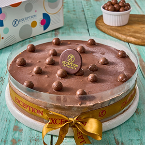 chocolate-ice-cream-cake-4IC0402101-87-copy