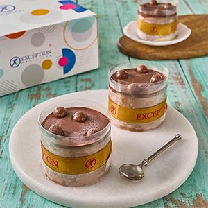 chocolate-ice-cream-piece-4IC0205101-94-copy