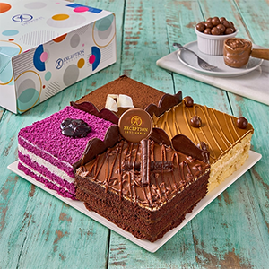 four-seasons-cake-square-size-24-4WD0707368-59-copy