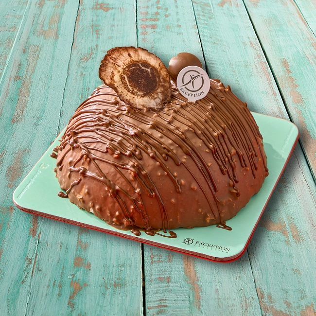 half-ball-cake-size-20-4WD0707469-197-1