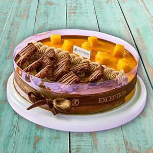 ice-cream-cake-half-mango-half-chocolate-size-24-4IC0404111-202-1