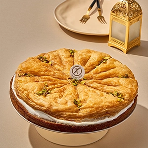 pampered-form-baklava-size-20-4WD0104481-245-1